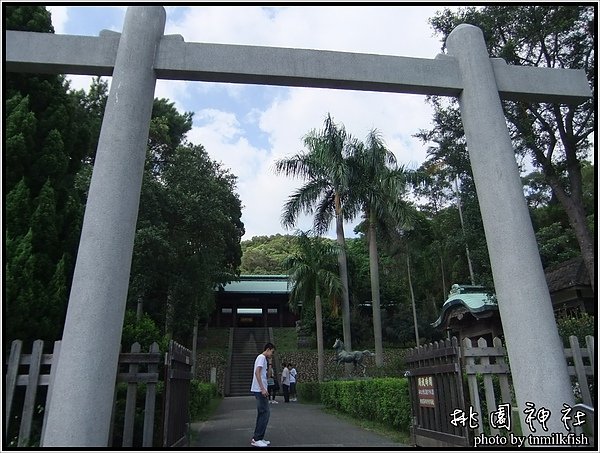 DSCF2311.JPG