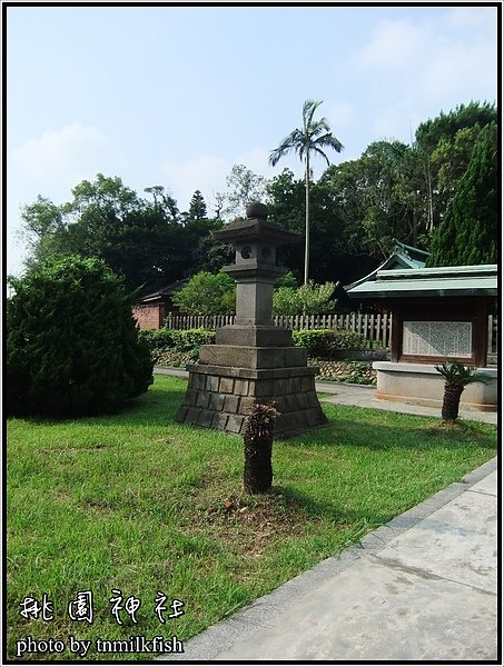 DSCF1019.JPG