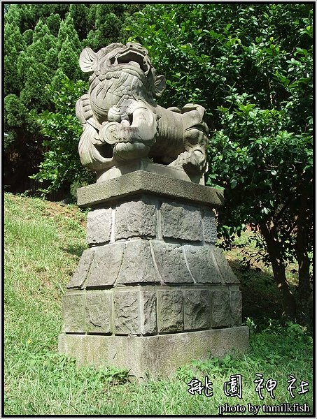 DSCF2331.JPG