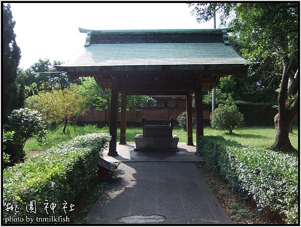 DSCF2411.JPG