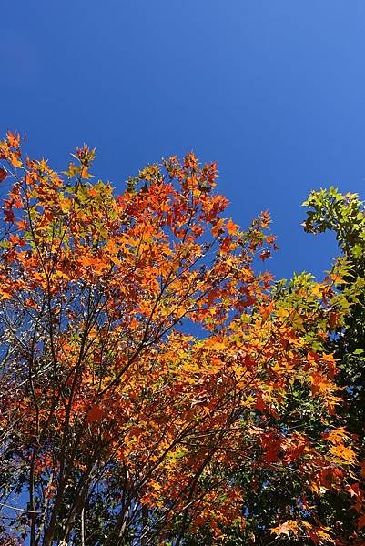DSC01284.JPG