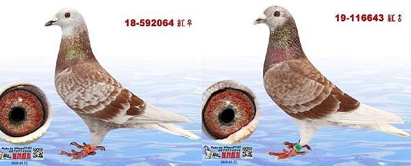 神來之筆.jpg