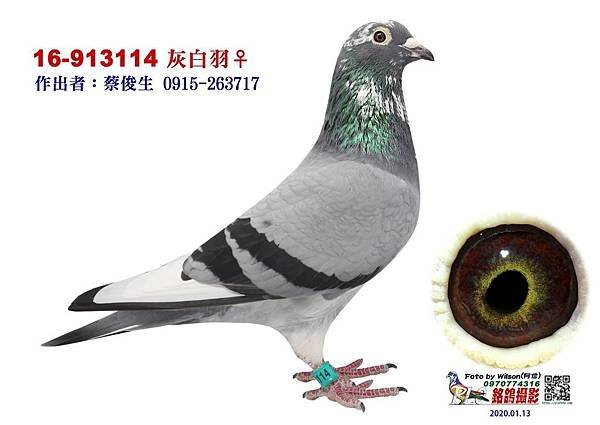 老勢山黑面媽祖16 913114.jpg