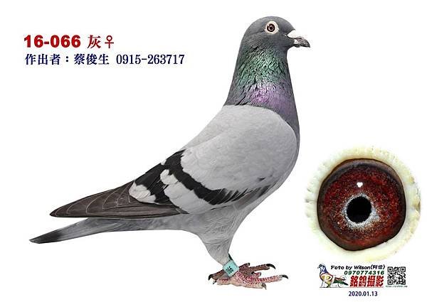 老勢山黑面媽祖16 066.jpg