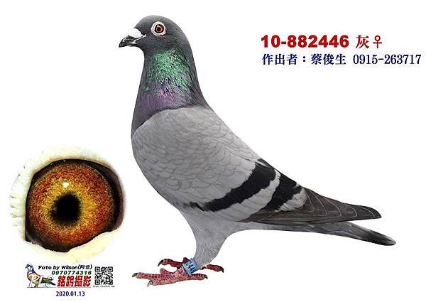 老勢山黑面媽祖10 882446.jpg