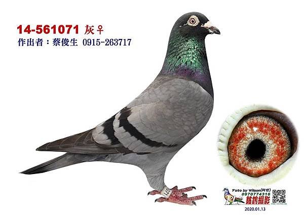 老勢山黑面媽祖14 561071.jpg