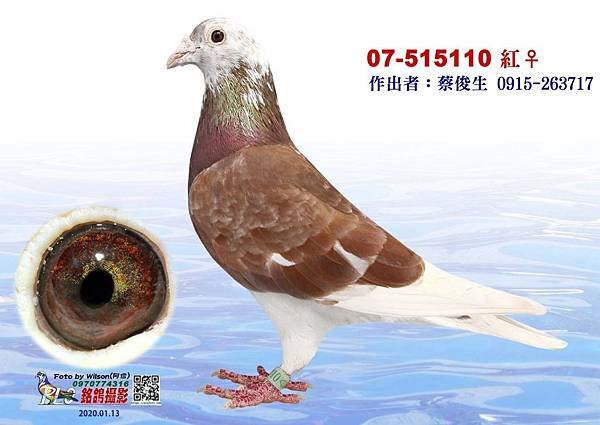 老音布利區07 515110.jpg