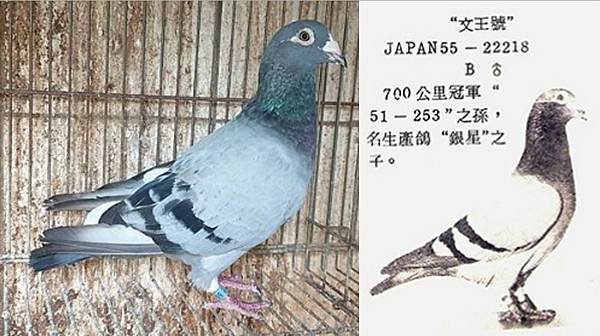 勢山文王號與738號母.jpg