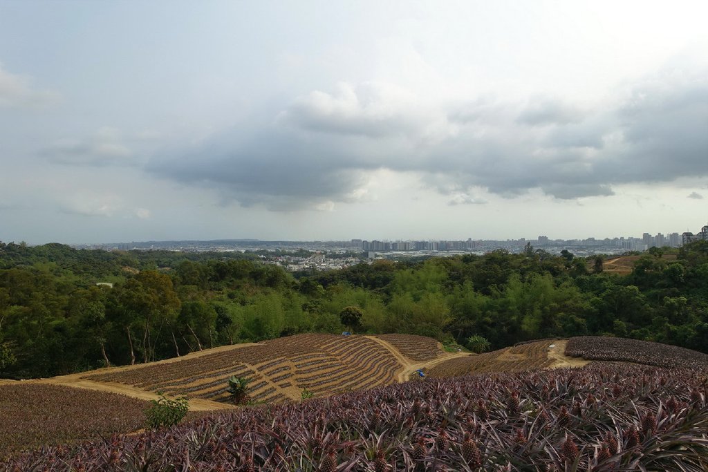 尖山嶺(坔埔山)