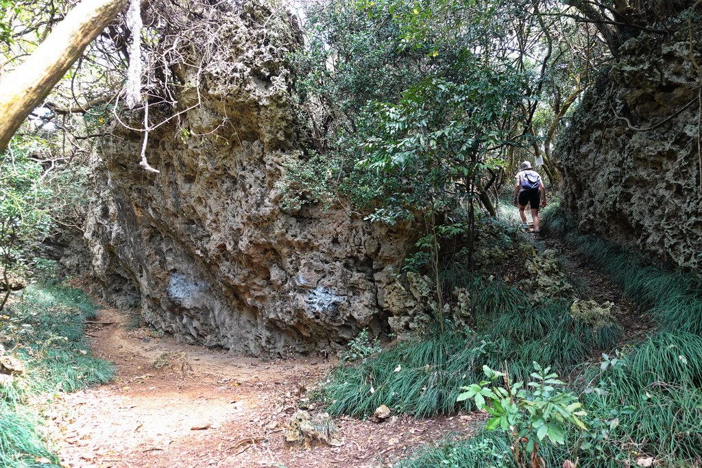 VIC04319.JPG