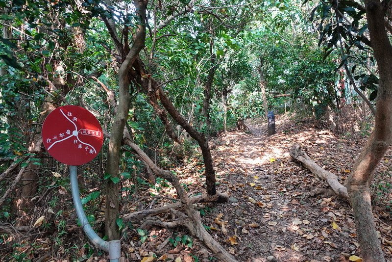 尖山嶺(坔埔山)