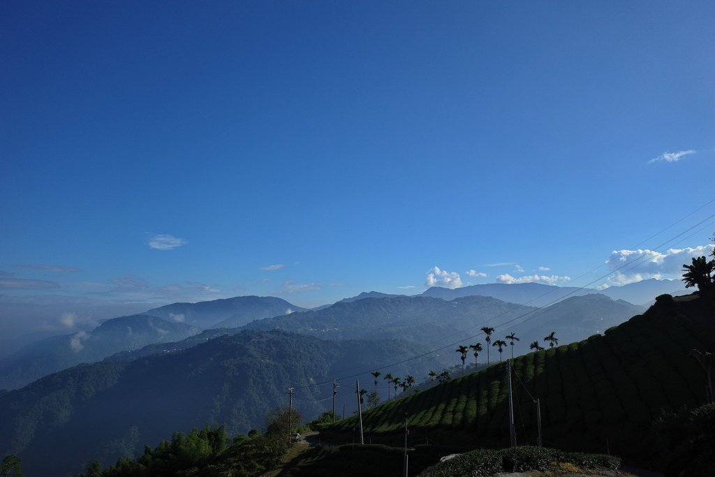 四天王縱走(篤鼻山、青園山、知鳥山、四天皇山)