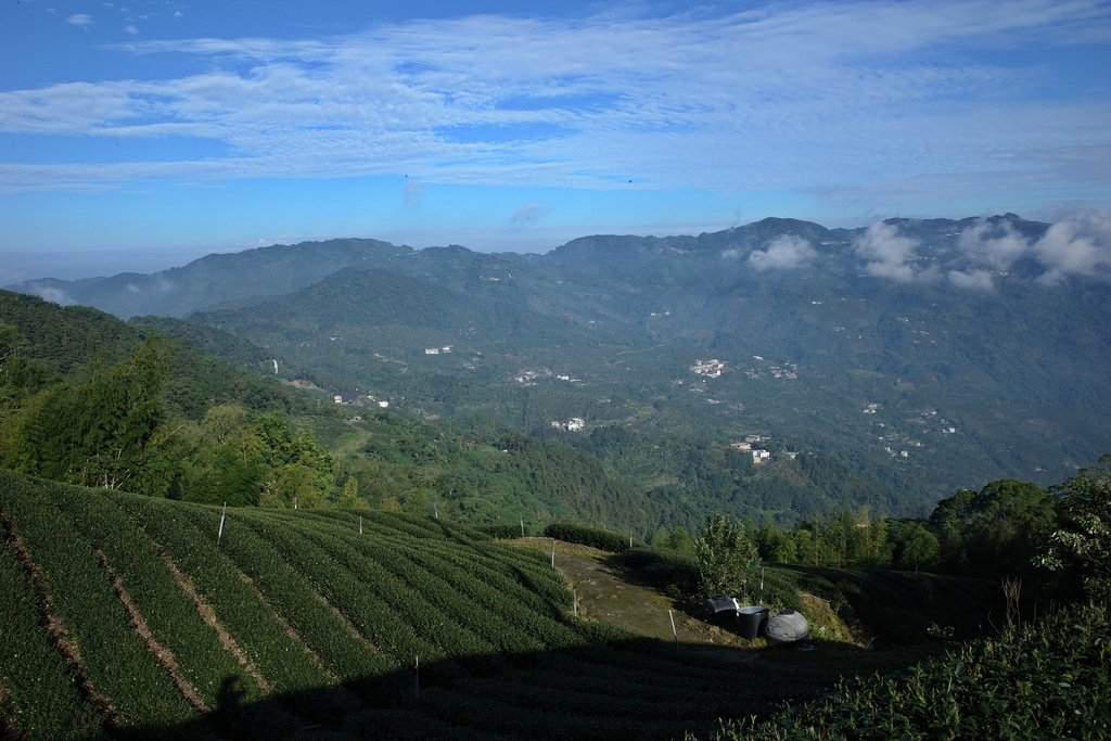 四天王縱走(篤鼻山、青園山、知鳥山、四天皇山)