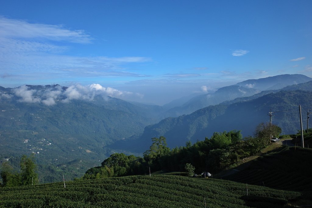 四天王縱走(篤鼻山、青園山、知鳥山、四天皇山)