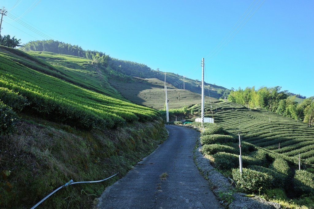 四天王縱走(篤鼻山、青園山、知鳥山、四天皇山)