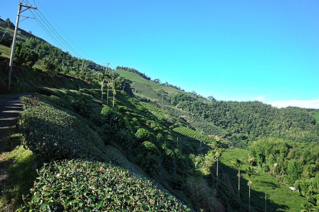 四天王縱走(篤鼻山、青園山、知鳥山、四天皇山)