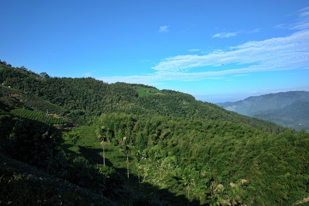 四天王縱走(篤鼻山、青園山、知鳥山、四天皇山)