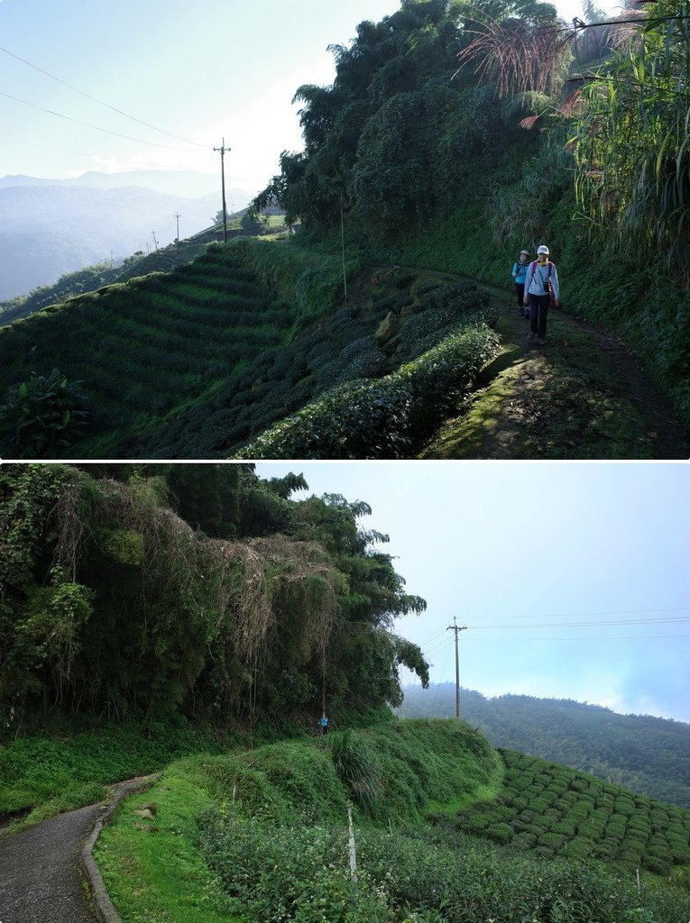 四天王縱走(篤鼻山、青園山、知鳥山、四天皇山)