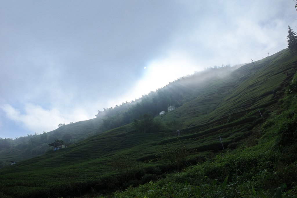 四天王縱走(篤鼻山、青園山、知鳥山、四天皇山)