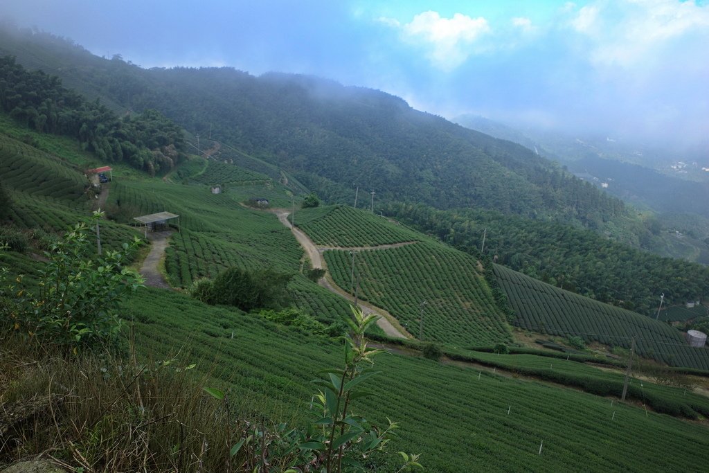 四天王縱走(篤鼻山、青園山、知鳥山、四天皇山)