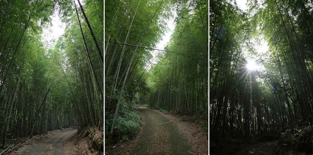 四天王縱走(篤鼻山、青園山、知鳥山、四天皇山)