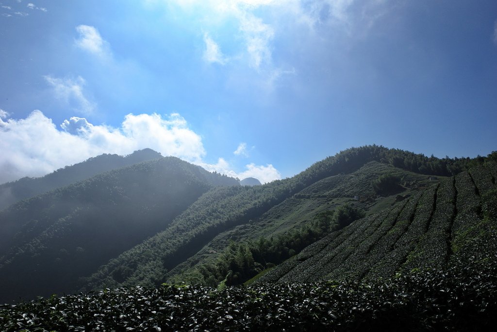 四天王縱走(篤鼻山、青園山、知鳥山、四天皇山)