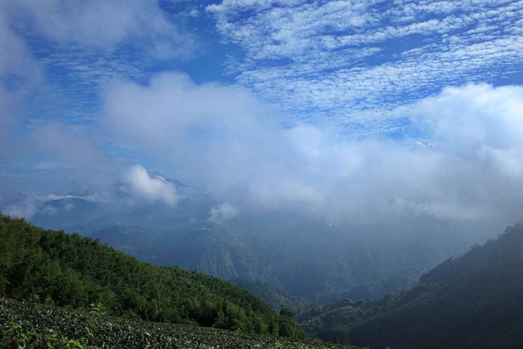 四天王縱走(篤鼻山、青園山、知鳥山、四天皇山)