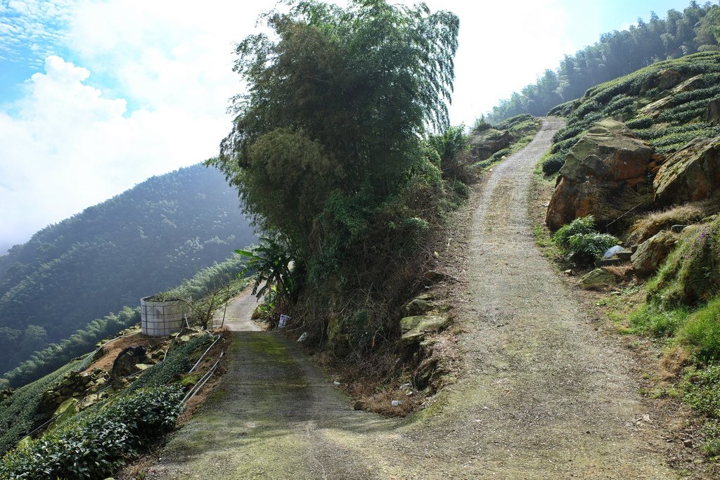 四天王縱走(篤鼻山、青園山、知鳥山、四天皇山)