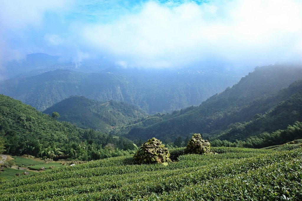 四天王縱走(篤鼻山、青園山、知鳥山、四天皇山)