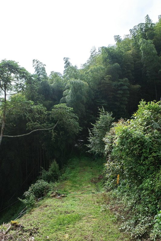 四天王縱走(篤鼻山、青園山、知鳥山、四天皇山)