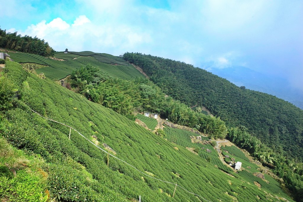 四天王縱走(篤鼻山、青園山、知鳥山、四天皇山)