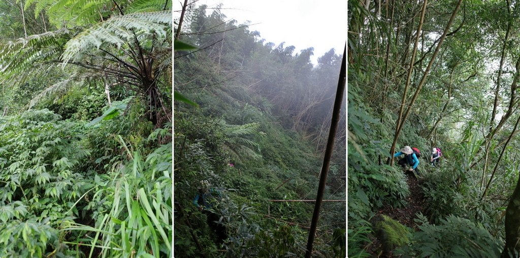 四天王縱走(篤鼻山、青園山、知鳥山、四天皇山)