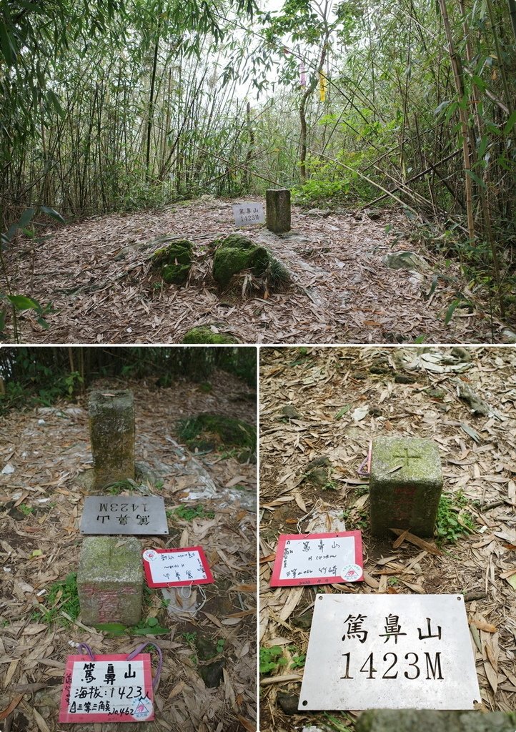 四天王縱走(篤鼻山、青園山、知鳥山、四天皇山)