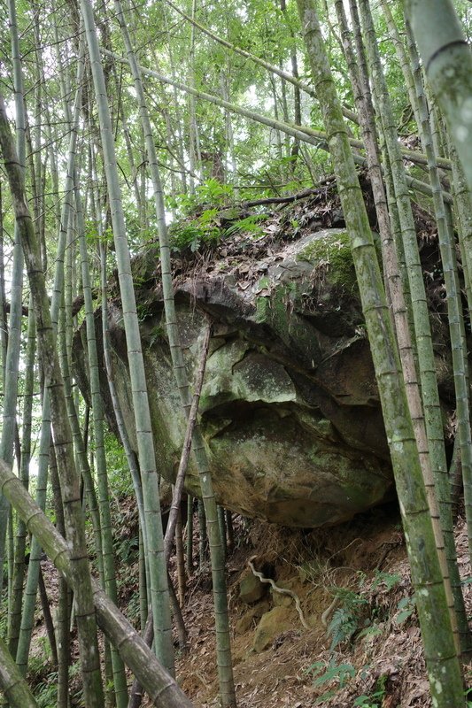 四天王縱走(篤鼻山、青園山、知鳥山、四天皇山)