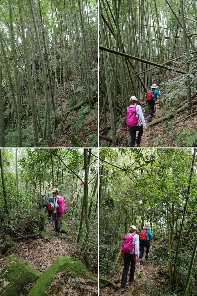 四天王縱走(篤鼻山、青園山、知鳥山、四天皇山)