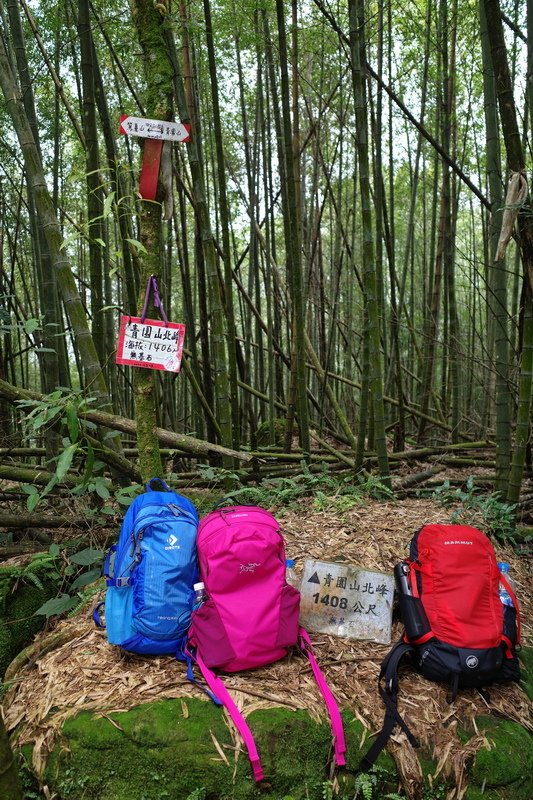 四天王縱走(篤鼻山、青園山、知鳥山、四天皇山)