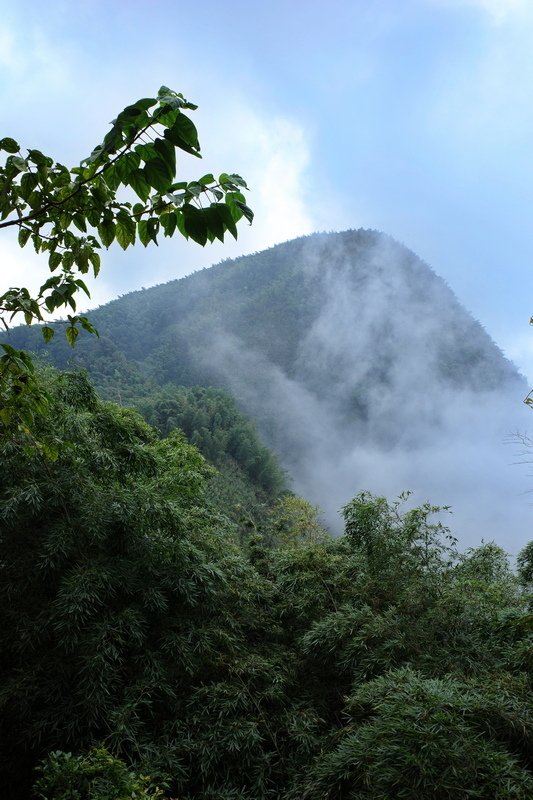 四天王縱走(篤鼻山、青園山、知鳥山、四天皇山)