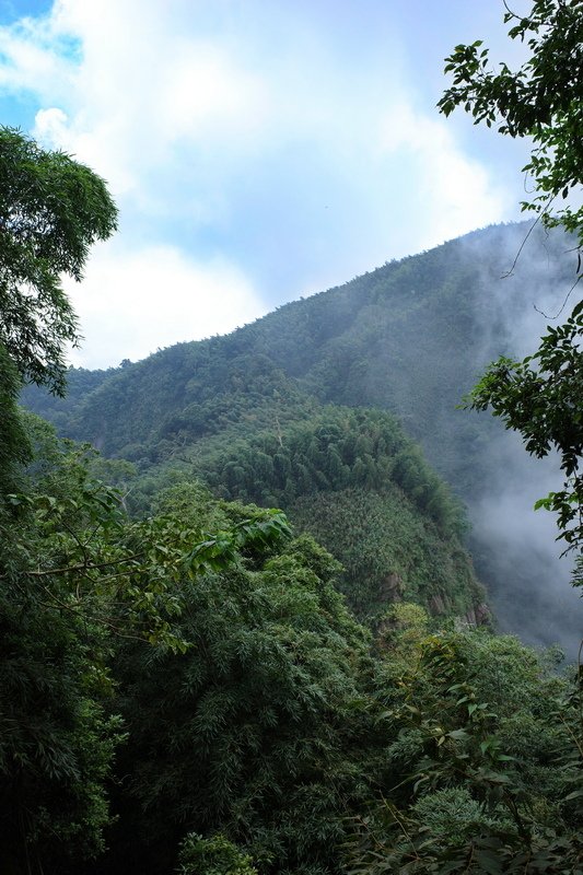 四天王縱走(篤鼻山、青園山、知鳥山、四天皇山)