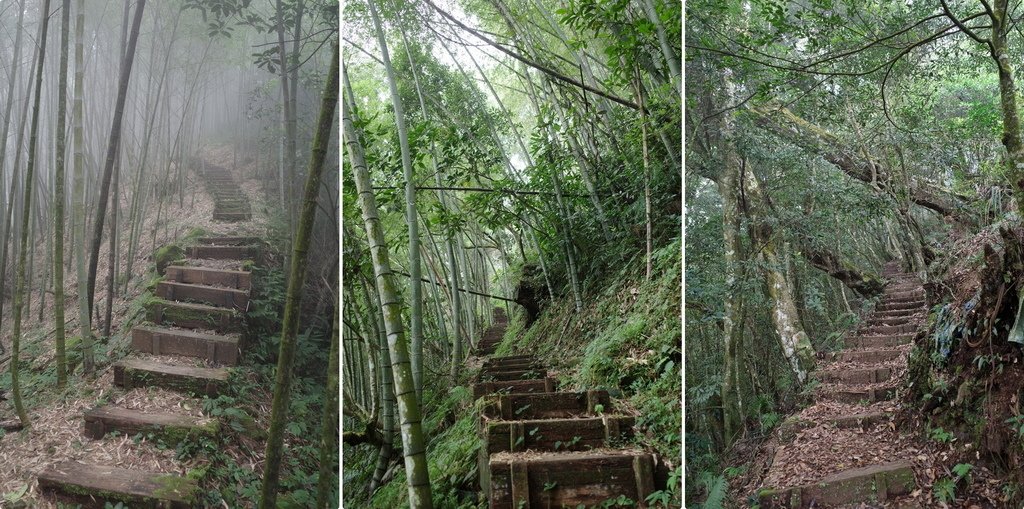 四天王縱走(篤鼻山、青園山、知鳥山、四天皇山)