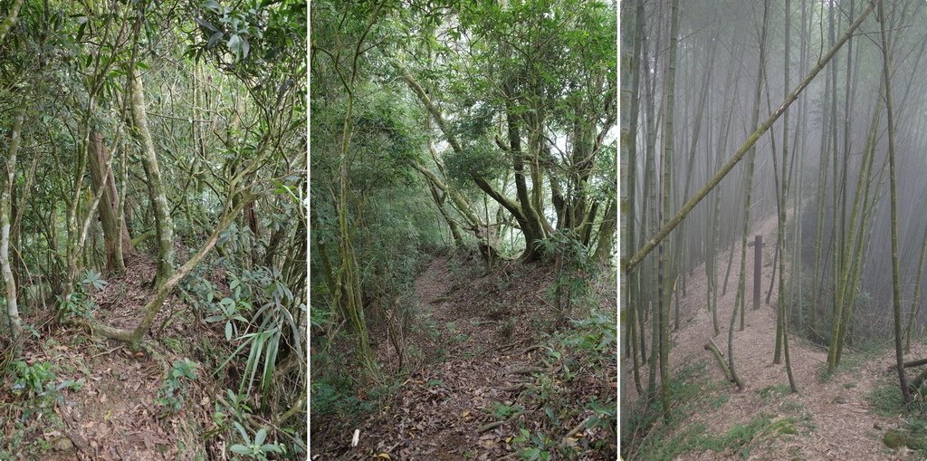 四天王縱走(篤鼻山、青園山、知鳥山、四天皇山)