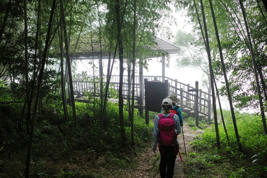 四天王縱走(篤鼻山、青園山、知鳥山、四天皇山)