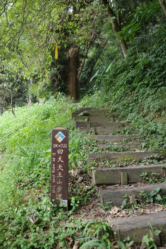 四天王縱走(篤鼻山、青園山、知鳥山、四天皇山)