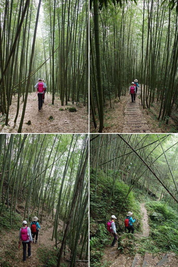 四天王縱走(篤鼻山、青園山、知鳥山、四天皇山)