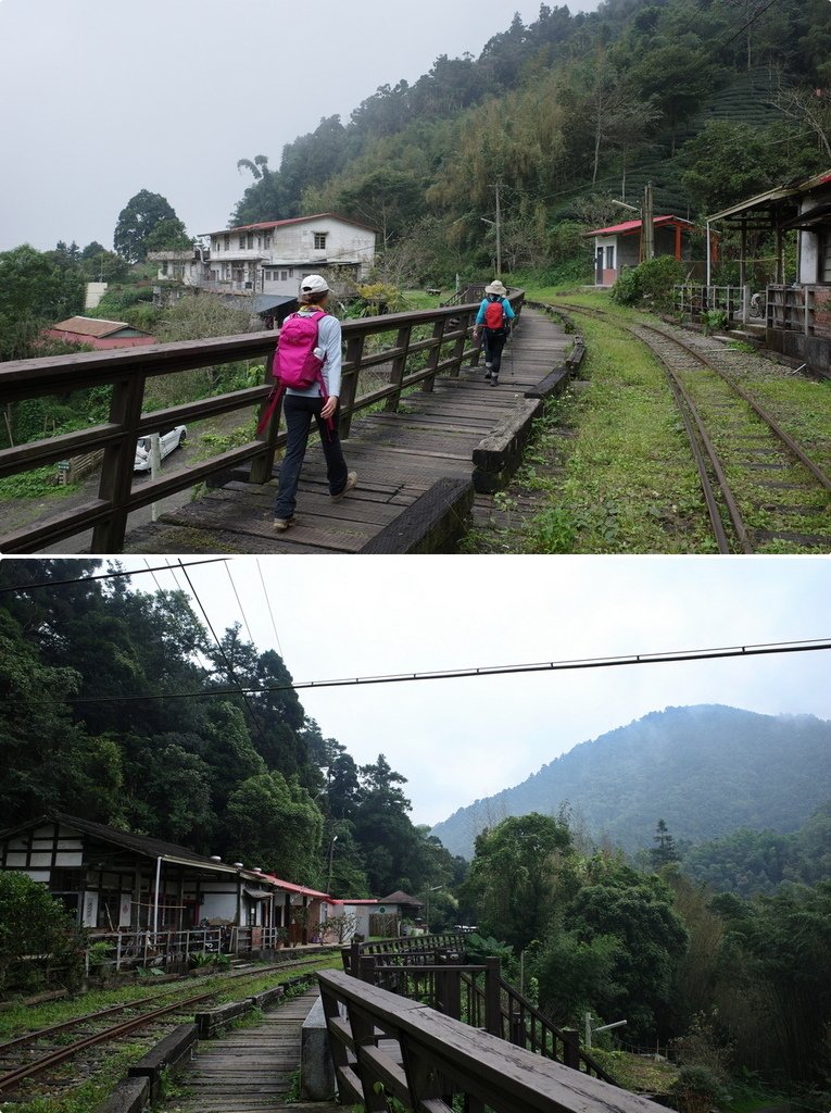 四天王縱走(篤鼻山、青園山、知鳥山、四天皇山)