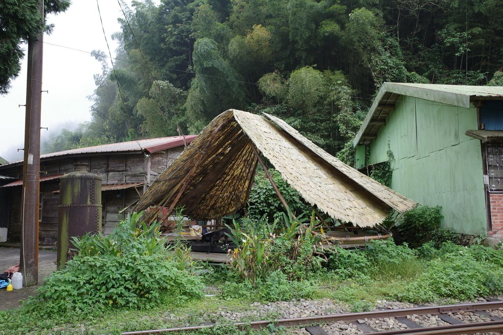 四天王縱走(篤鼻山、青園山、知鳥山、四天皇山)