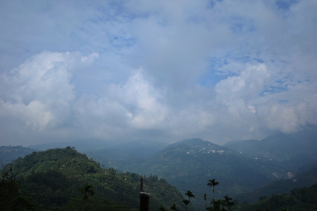 四天王縱走(篤鼻山、青園山、知鳥山、四天皇山)