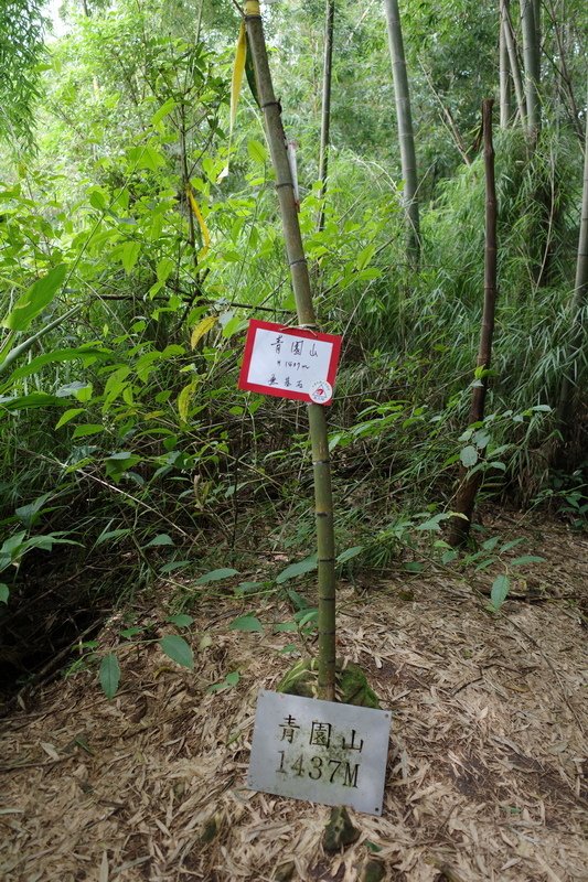 四天王縱走(篤鼻山、青園山、知鳥山、四天皇山)