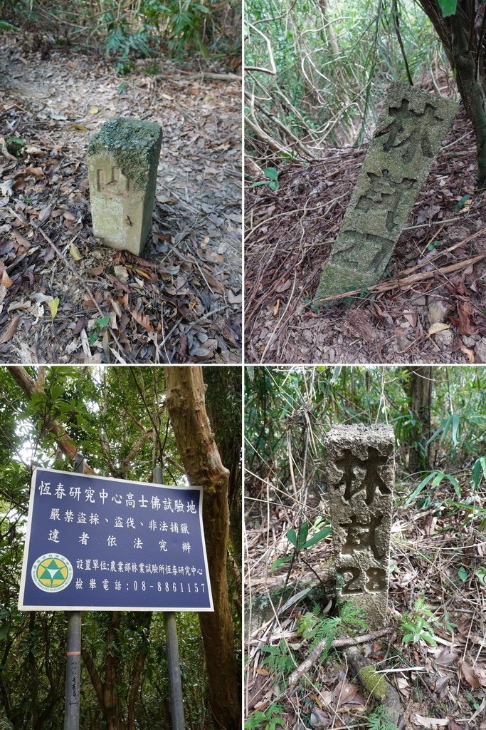 高士佛山+茄苳神木O型