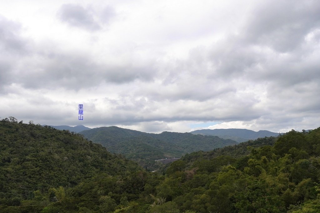 高士佛山+茄苳神木O型