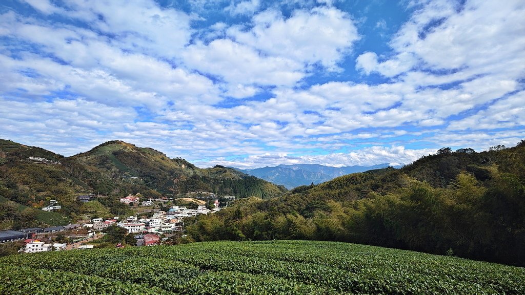 太平雲梯、佐登妮絲城堡